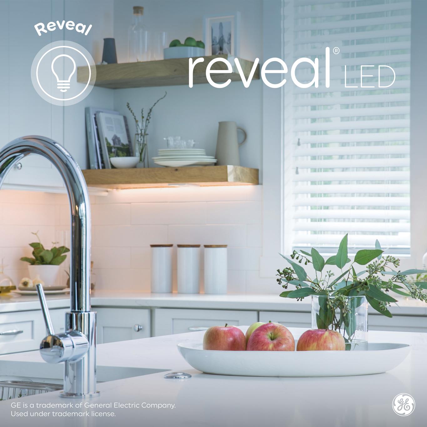 GE Reveal HD+ LED 100 Watt Replacement, Reveal, A19 General Purpose ...