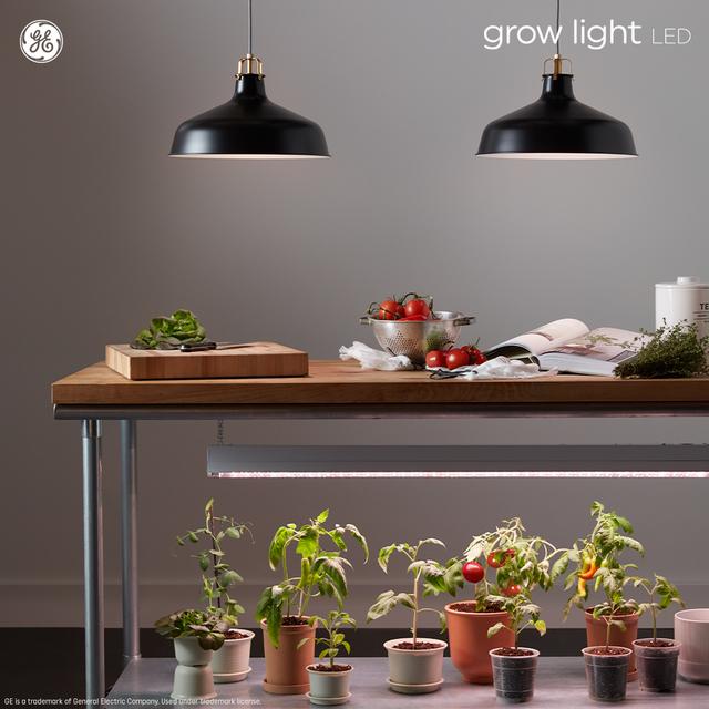 Grow light deals wattage for seedlings