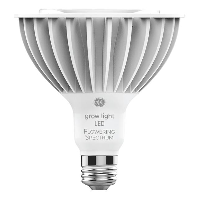 ge red light bulb