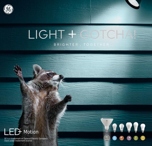 GE LED Motion Lamp LED Light Bulbs General Purpose A21 Bulb 12