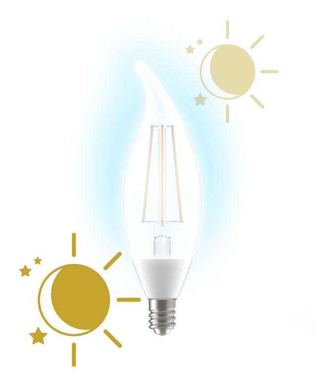 GE LED+ Dusk to Dawn Light Bulbs, Sunlight Sensing Outdoor Security LED
