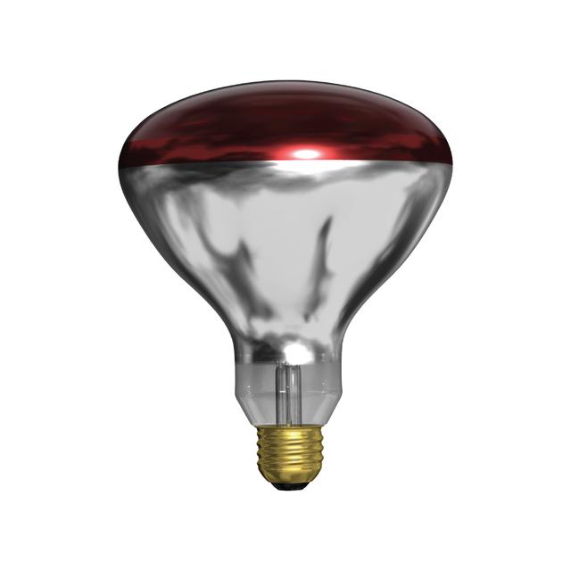 250 watt incandescent deals bulb