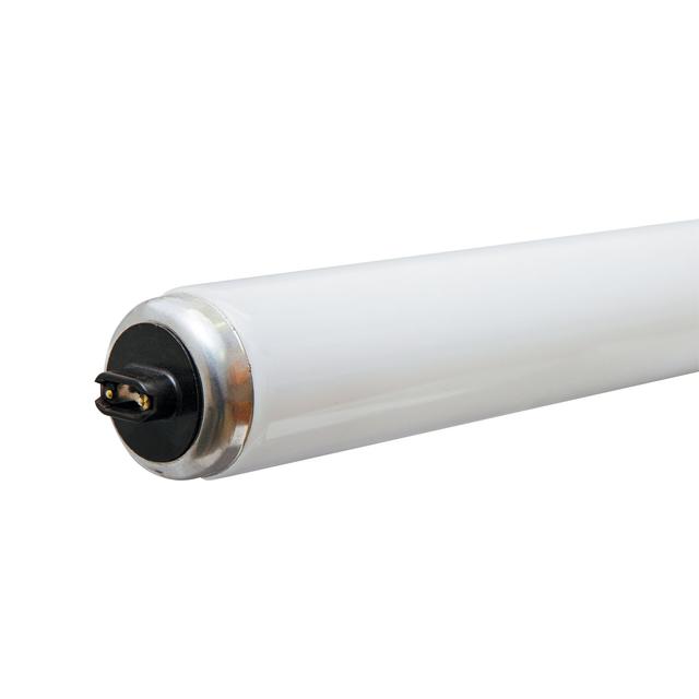 T12 daylight on sale fluorescent bulbs