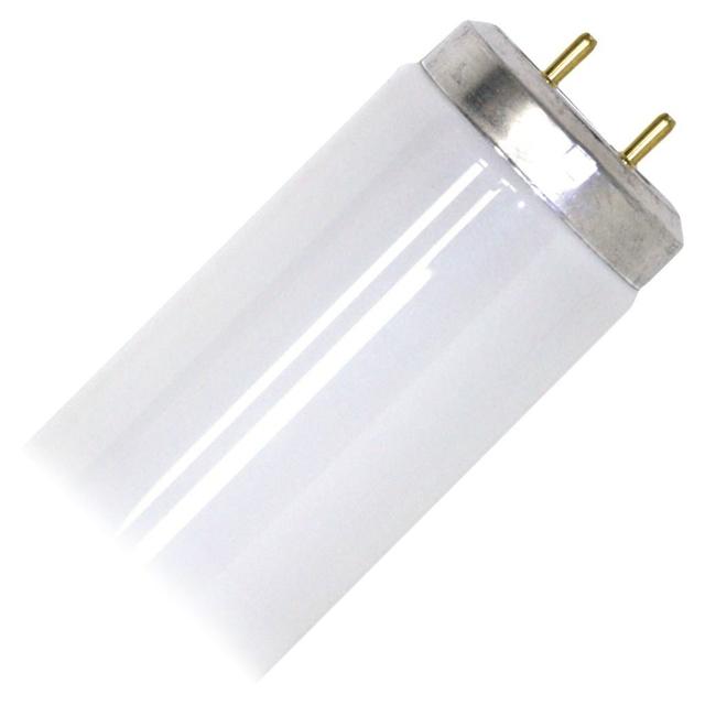 24 inch shop fluorescent bulb