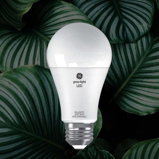 plant grow light bulb